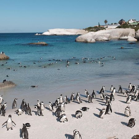 Penguin Haven . Luxury 2 Bedroom, Boulders Beach. ケープタウン エクステリア 写真